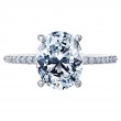 Platinum Engagement Ring Is Set