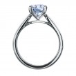 Platinum Solitare Engagement Ring