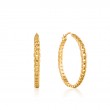 CURB CHAIN HOOP EARRINGS