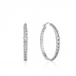 CURB CHAIN HOOP EARRINGS