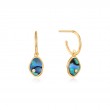 Tidal Abalone  Mini Hoop Earrings