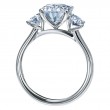 Three-Stone Platinum Engagement Ring