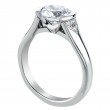 Half-Bezel Platinum Engagement Ring